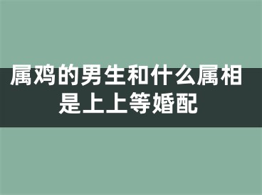 属鸡的男生和什么属相是上上等婚配
