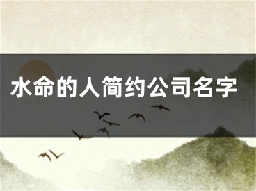 水命的人简约公司名字