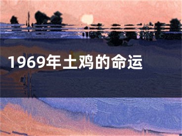 1969年土鸡的命运