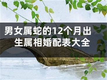 男女属蛇的12个月出生属相婚配表大全