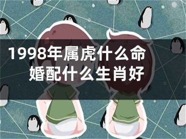 1998年属虎什么命 婚配什么生肖好