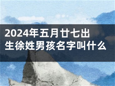2024年五月廿七出生徐姓男孩名字叫什么