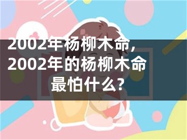 2002年杨柳木命,2002年的杨柳木命最怕什么?