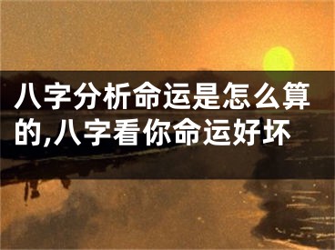 八字分析命运是怎么算的,八字看你命运好坏