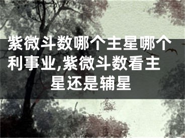 紫微斗数哪个主星哪个利事业,紫微斗数看主星还是辅星