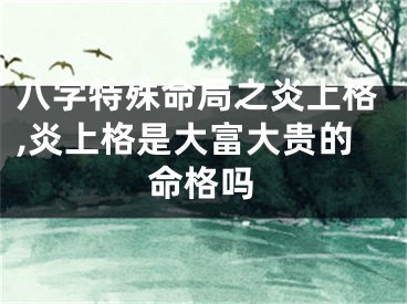 八字特殊命局之炎上格,炎上格是大富大贵的命格吗