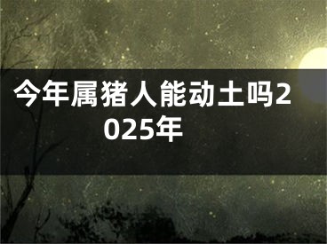 今年属猪人能动土吗2025年