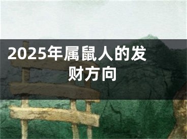 2025年属鼠人的发财方向