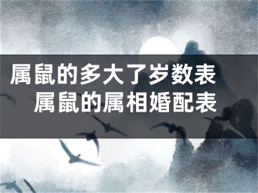 属鼠的多大了岁数表 属鼠的属相婚配表