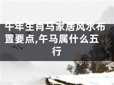 午年生肖马家居风水布置要点,午马属什么五行