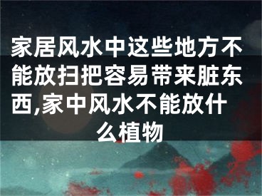家居风水中这些地方不能放扫把容易带来脏东西,家中风水不能放什么植物