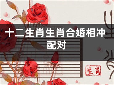 十二生肖生肖合婚相冲配对