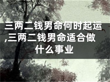 三两二钱男命何时起运,三两二钱男命适合做什么事业