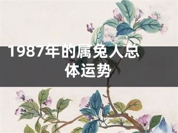 1987年的属兔人总体运势