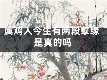 属鸡人今生有两段孽缘是真的吗