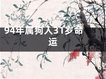 94年属狗人31岁命运