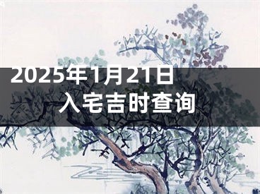 2025年1月21日入宅吉时查询