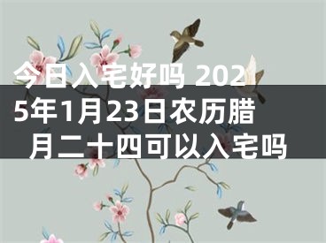 今日入宅好吗 2025年1月23日农历腊月二十四可以入宅吗