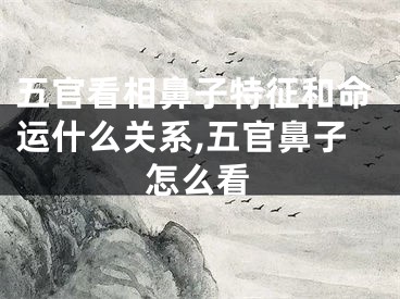五官看相鼻子特征和命运什么关系,五官鼻子怎么看