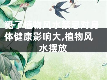犯了植物风水禁忌对身体健康影响大,植物风水摆放