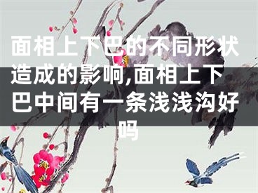 面相上下巴的不同形状造成的影响,面相上下巴中间有一条浅浅沟好吗