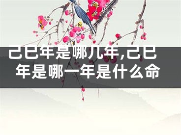 己巳年是哪几年,己巳年是哪一年是什么命
