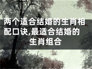 两个适合结婚的生肖相配口诀,最适合结婚的生肖组合
