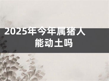 2025年今年属猪人能动土吗