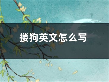 搂狗英文怎么写