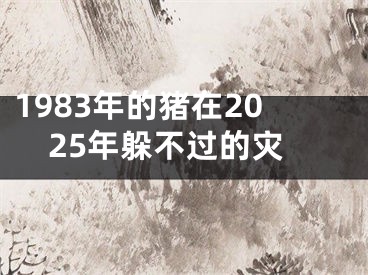 1983年的猪在2025年躲不过的灾