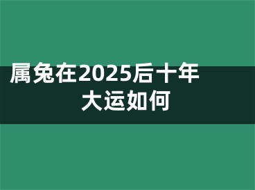 属兔在2025后十年大运如何