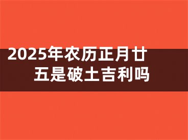 2025年农历正月廿五是破土吉利吗