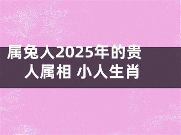 属兔人2025年的贵人属相 小人生肖