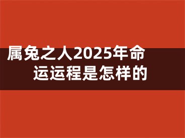属兔之人2025年命运运程是怎样的