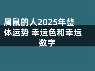 属鼠的人2025年整体运势 幸运色和幸运数字