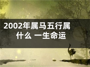 2002年属马五行属什么 一生命运