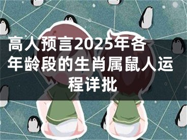 高人预言2025年各年龄段的生肖属鼠人运程详批
