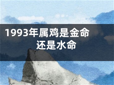 1993年属鸡是金命还是水命