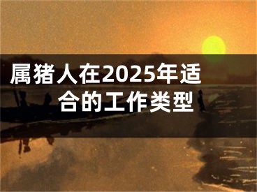 属猪人在2025年适合的工作类型