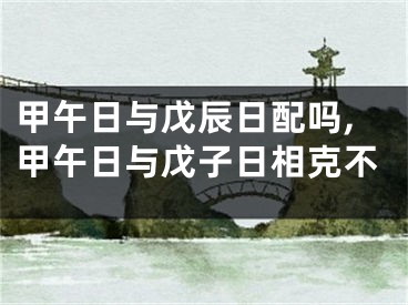 甲午日与戊辰日配吗,甲午日与戊子日相克不