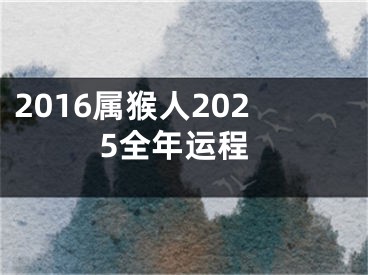 2016属猴人2025全年运程