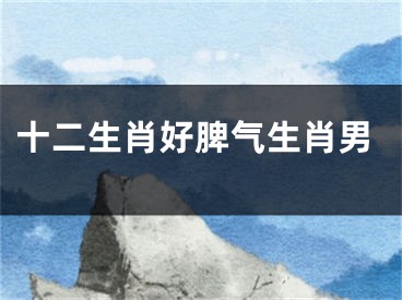 十二生肖好脾气生肖男