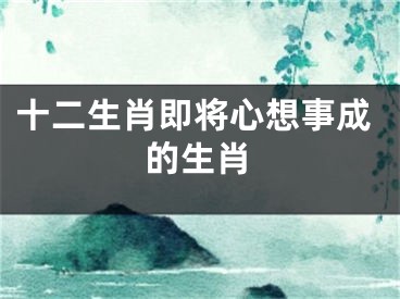 十二生肖即将心想事成的生肖