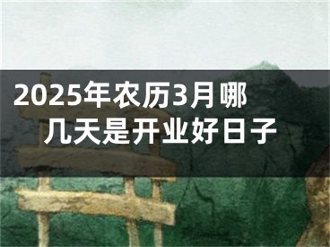 2025年农历3月哪几天是开业好日子
