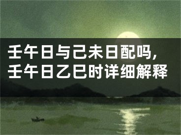 壬午日与己未日配吗,壬午日乙巳时详细解释