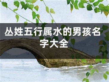 丛姓五行属水的男孩名字大全