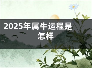 2025年属牛运程是怎样