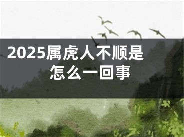 2025属虎人不顺是怎么一回事