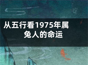 从五行看1975年属兔人的命运