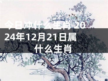 今日冲什么生肖 2024年12月21日属什么生肖